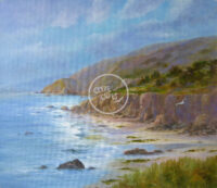 Along the Avila Coast