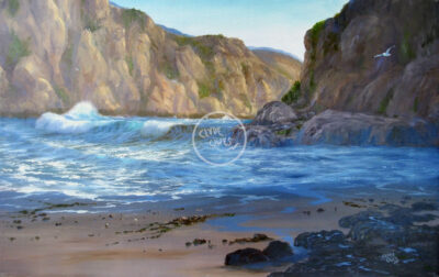 Island Cove
