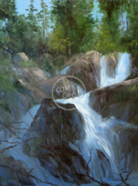 Woods Waterfalls