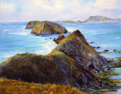 Channel Island Beauty