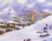 Downhill Run